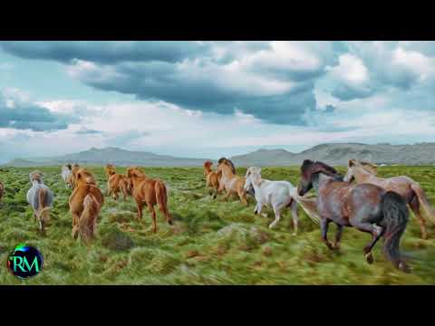 1 Hours of AMAZING HOURS From Around the world - Best Relax Music, Meditation, Stress Relief, Calm