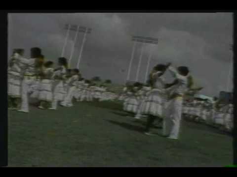 VIII Juegos Panamericanos, San Juan 1979 - Ceremonia de Apertura (Extracto)