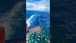 Download lagu Proses tawur perahu slerek mp3