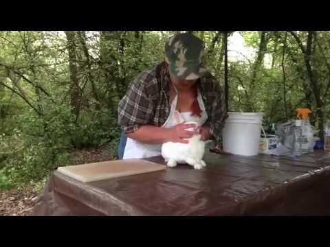 YouTube video about: Can you eat a rabbit with warbles?