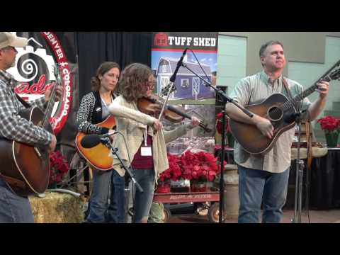 2017-01-08 JJ2 Jahan Anderson - 2017 Colorado Fiddle Championships