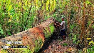 Download lagu full video kayu ulin kalimantan. sejak kami menemukan dan mengolah satu pohon hingga selesai. !! mp3 Download lagu full video kayu ulin kalimantan. sejak kami menemukan dan mengolah satu pohon hingga selesai. !! mp3
