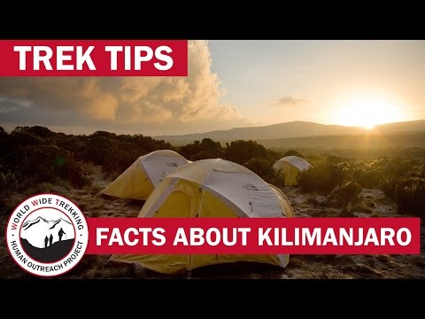 download lagu mp3 mp4 Kilimanjaro Cost, download lagu Kilimanjaro Cost gratis, unduh video klip Kilimanjaro Cost