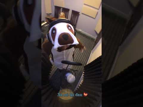 16D$LOTH - MUZIK Dập Dịch