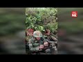 Nagaland 31 Personnel Of Assam Rifles Captured By Insurgent Groups Released