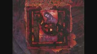 Words Without Meaning - Rosicrucian