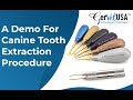 Canine Tooth Extraction in Minutes Using Our Periotome & WingLux Titanium Instruments