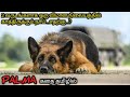 விட்டுச்சென்ற காதலுக்காக காத்திருக�