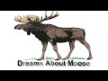 Dreams about moose | Dreams Meaning and Interpretation