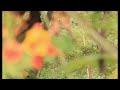 Sundari Kannal Flute Solo