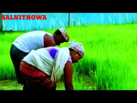 rohil sangma Garo gun ruwoni bilahk dhan rohil sangma #photography #viral #video @rohil sangma