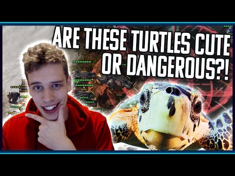 Fighting Turtles: An Interactive Guide by Professional Survivalist Harstem | Is It Imba Or Do I Suck