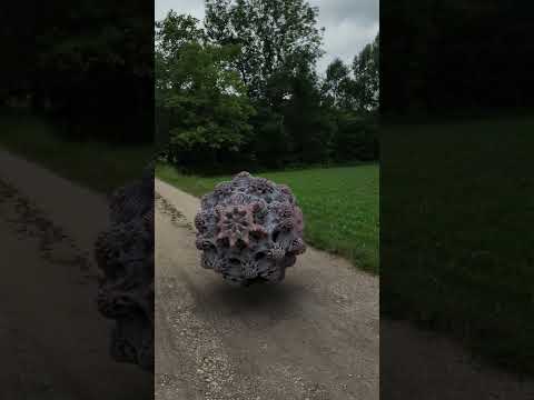 Mandelbulb: A Stunning 3D Fractal Found in the Wild! #shorts #viral