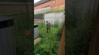 Clearing an overgrown garden so the owners can make a fresh start.
