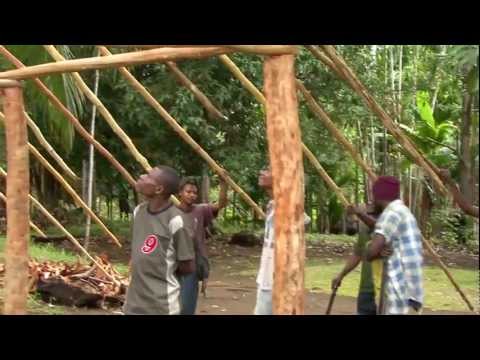Global Vision - Wood and Bamboo Houses (Music: Dubdiver - Jungle-Jive)