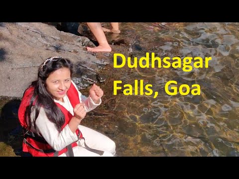Dudhsagar Falls in Goa | Best Family Picnic outdoor spot in Goa