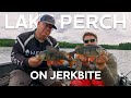 Lake Perch on JerkBite | Westin Fishing