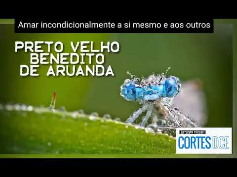 Cortes DcE #338 Amar incondicionalmente a si mesmo e aos outros