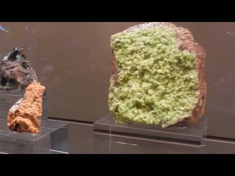 Gem and Mineral Hall  (1)