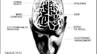 Targeted Individuals the REAL STORY V2k Human  guinea pigs but GODS Elect