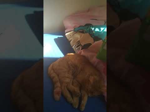 jak se vám dejchá!