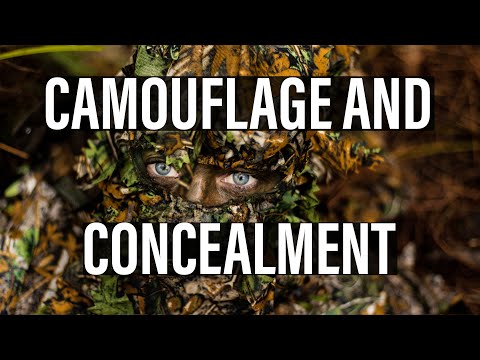 CAMOUFLAGE IN THE BUSH | How to employ camouflage and concealment methods in escape and evade