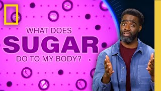 Why Do Our Mouths Water at the Sight of Donuts | What Does Sugar Do To My Body | Nat Geo