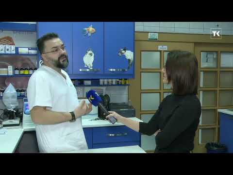 DOBRO JUTRO TK - AZUR PAPRIKIĆ