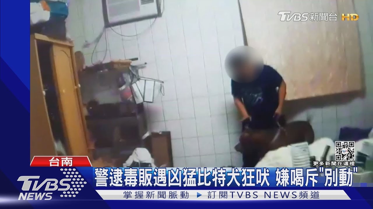 反了!警逮毒販遇凶猛比特犬狂吠 嫌喝斥「別動」