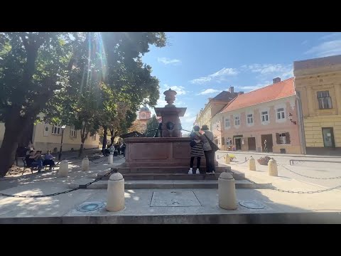 Touring Krušedol Monastery and Sremski Karlovci, Serbia