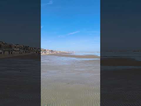 Bassa Marea  Palombina (An)