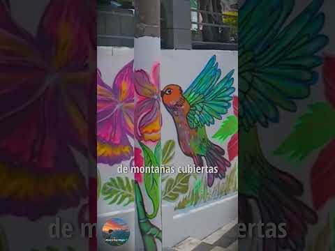 ¿Sabías que existe este paraíso secreto en Colombia? Cascada de Los Micos Santander