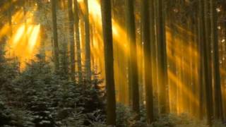 THE MOON IS STILL OVER HER SHOULDER