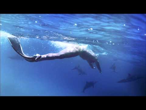 Exsonvaldes - Seahorses (Official video)