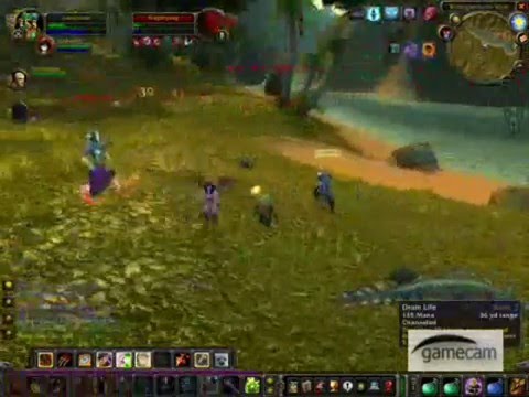 Level 55 Priest Owned by level 40s.