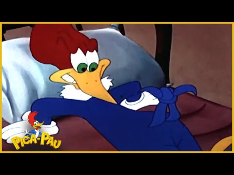 O Passarinho video