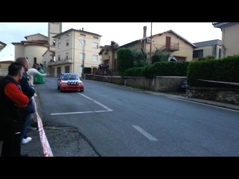 Rally della Valdinievole 2015, Meoni - Ducceschi (Ps1 Larciano) esterno