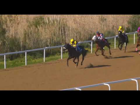 BOLD RESOLVE - RACE 4 #fairview 01 AUGUST 2022