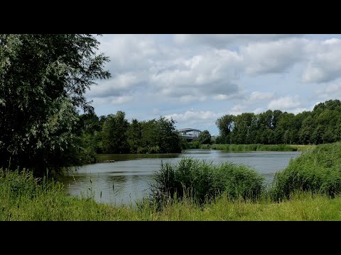Pernisserpark, groene oase in Pernis / Rotterdam Pernis 2020