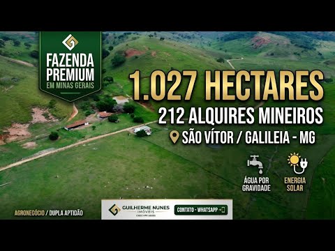 💎 FAZENDA 1.027 HECTARES EM MINAS GERAIS - Riqueza Hídrica e Dupla Aptidão (Galileia/MG)