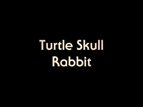 Turtle Skull - Rabbit [Official Video]