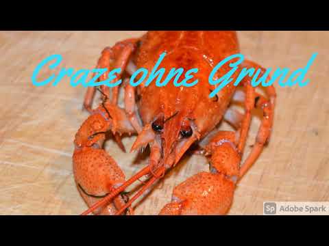 Joe Pharo - Craze ohne Grund (prod. Fantom)