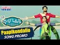 Paapi Kondallo Song Promo