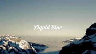 Furtive - Liquid Blue (Cover | Lyrics)