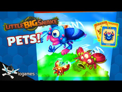 Little Big Snake - Pet Tutorial