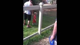 Don't feed the animals