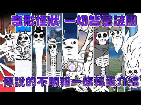 髮鞭白骨貓