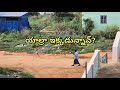 Yaalra Surendra Ikkadunnaav Animals Fun Episode 12