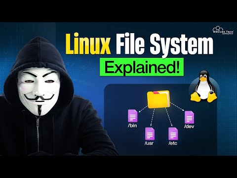 What is Linux Kernel OS Terminal for Beginners