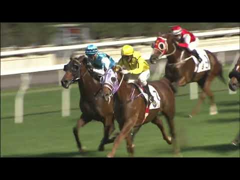 29/6/2022 (780) Owners' Star - Matthew Chadwick